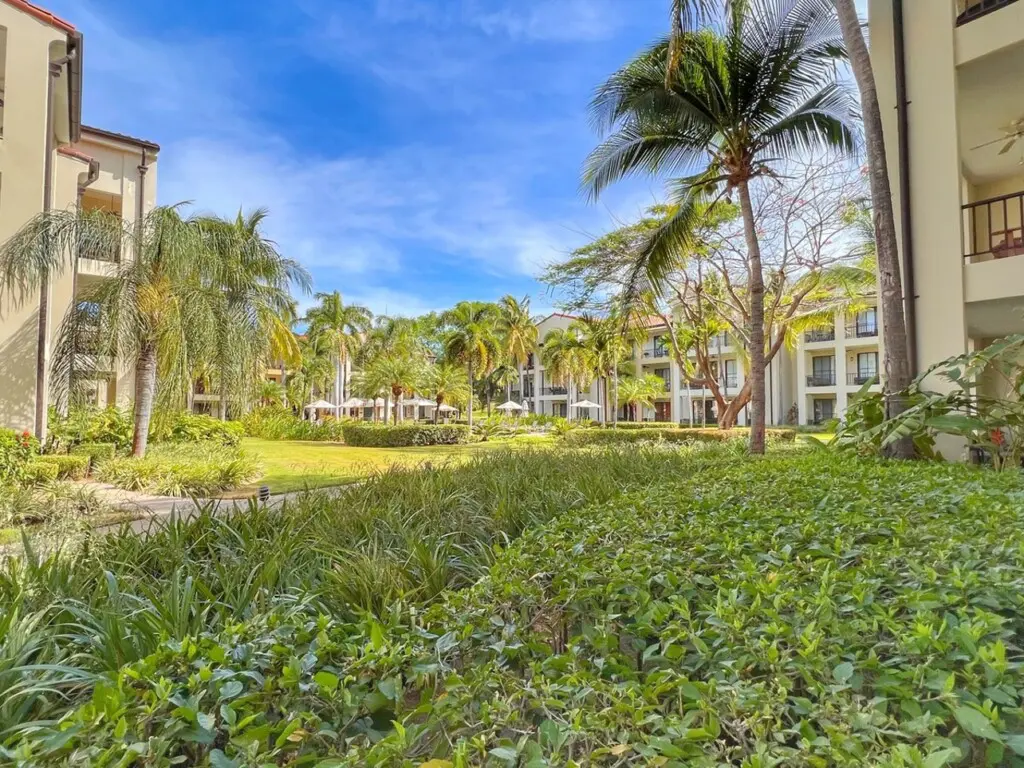 00f04900 f0d1 464a 9742 ff133b654f43.jpg