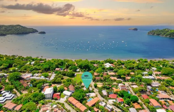 1381395b da77 4c15 857b e11c0bddeccf.jpg