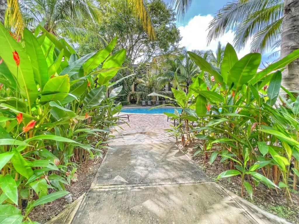 2aadfac8 4d1c 4c1e b2d1 2403fb24832a.jpg