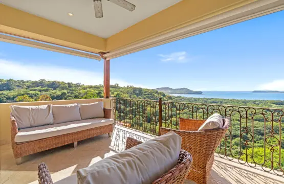 34add636 ca90 4a4e 9142 06f8ffcd3636.jpg