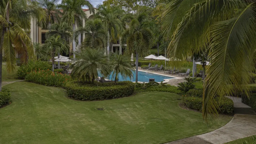 34e168be d9b0 4f93 bd7f b4f0ea84f73d.jpg