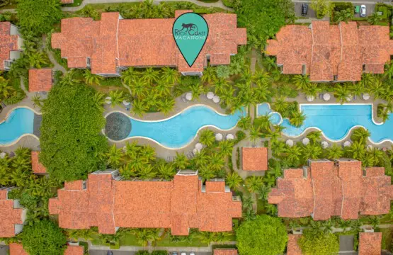 39167d0d 7d43 4280 a074 111030085711.jpg