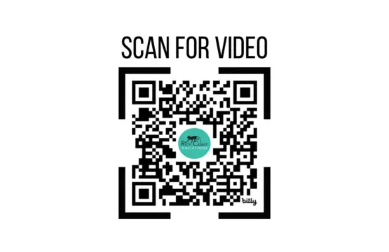 41d6e57b db60 47cd 9fcc 3327f9111d9f.jpg