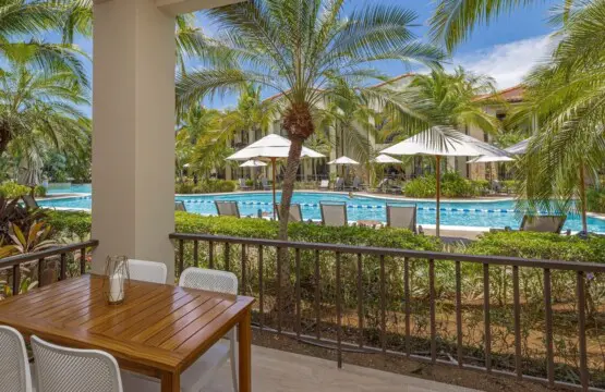 47367abe f1a7 45fe 91ab c3a85e8801ba.jpg