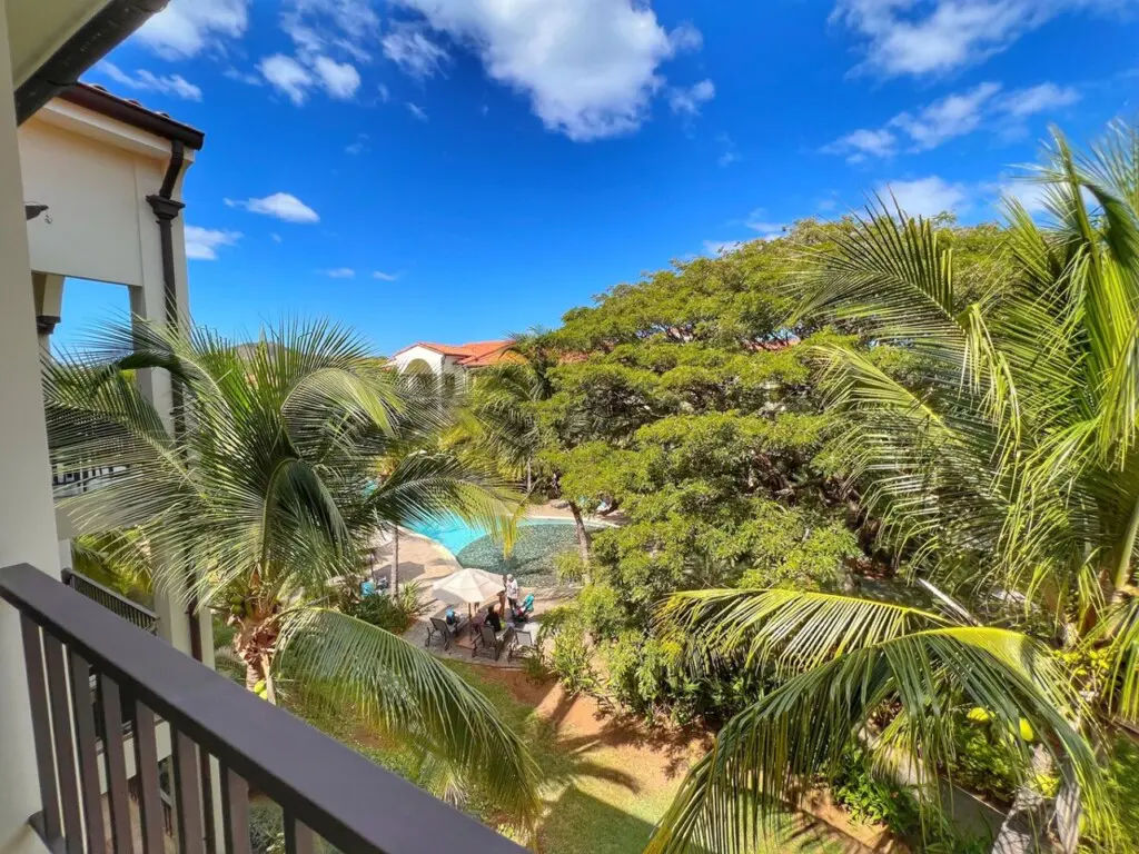 47509381 39c2 4c49 95ab 0cb334e1542c.jpg