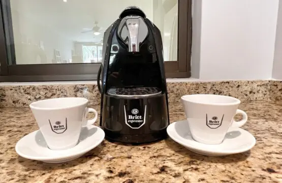 48884020 abb8 447c 96db 09b2de846f72.jpg