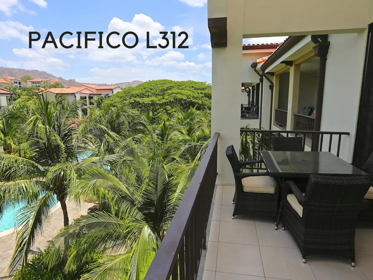 496c17f8 ad33 43ba bd8e 0f0d101dd812.jpg