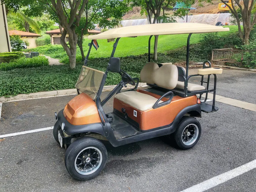 54581bdd 7e36 445d b761 445da0dedc66.jpg