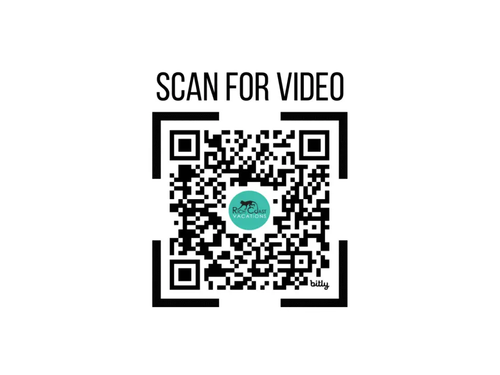 633a5bfd 53b5 4dab bb5f 5d1264b64c2c.jpg