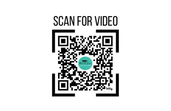 633a5bfd 53b5 4dab bb5f 5d1264b64c2c.jpg