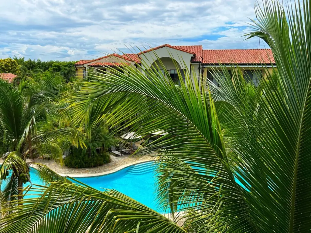 63a595c3 2206 4319 8c73 10473054f829.jpg