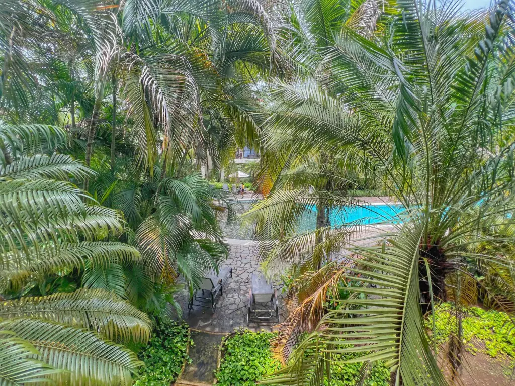 6b914db6 a638 496a 819e 3bf5ae43cae4.jpg