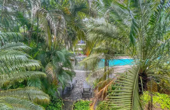 6b914db6 a638 496a 819e 3bf5ae43cae4.jpg