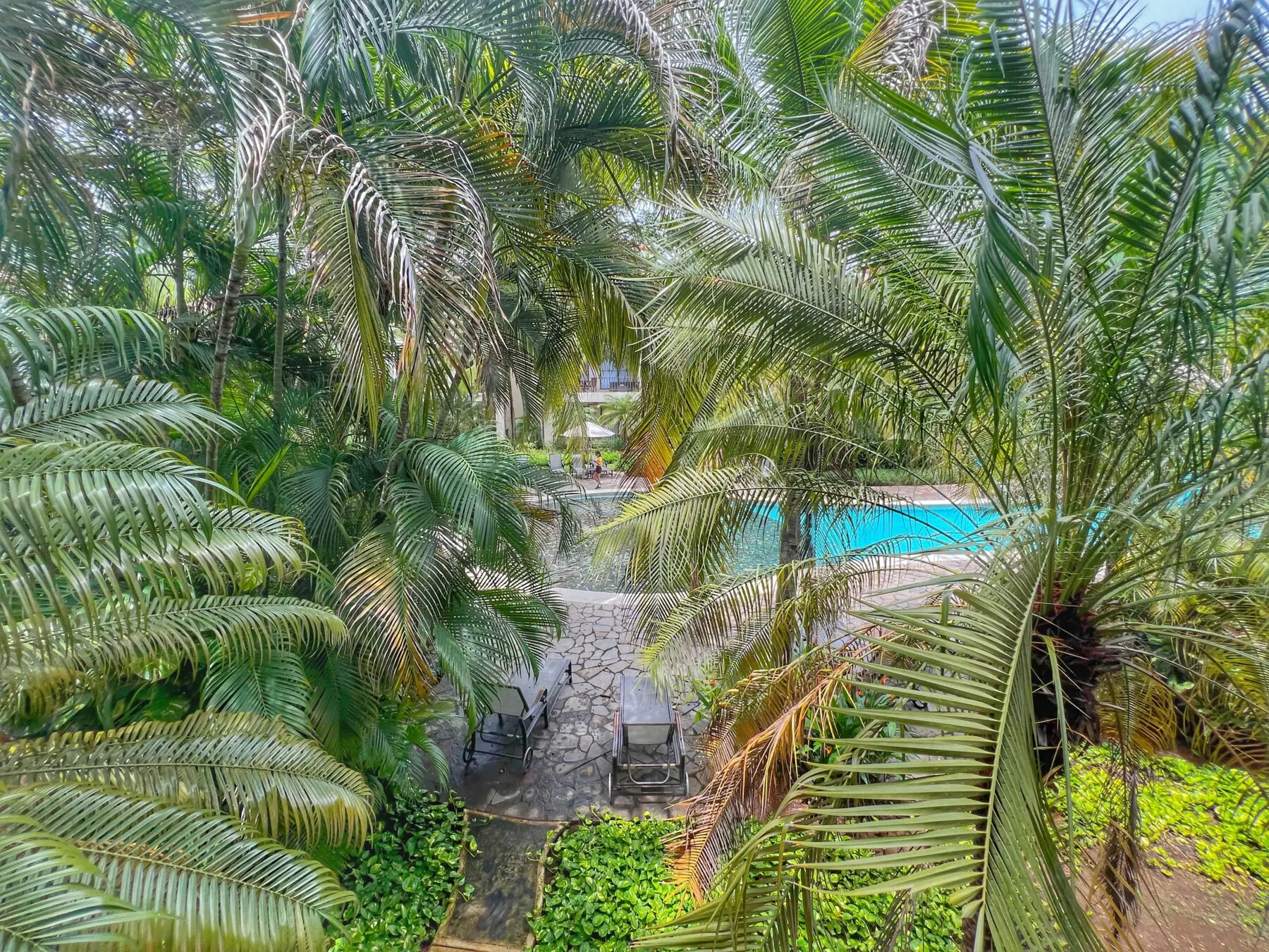 6b914db6 a638 496a 819e 3bf5ae43cae4.jpg