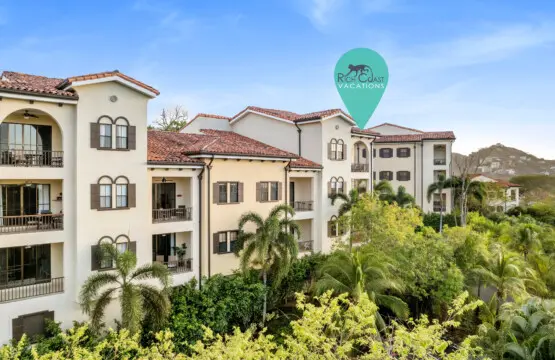 6fbb5117 28df 42bb b509 77000ec5fdfb.jpg