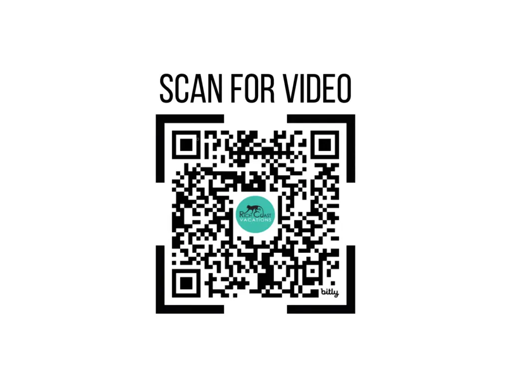 73eb7620 b51f 4814 8519 1a80b004af07.jpg