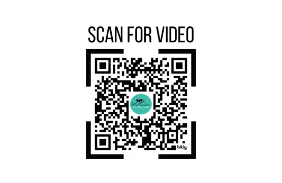 73eb7620 b51f 4814 8519 1a80b004af07.jpg