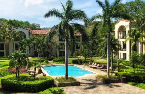 7703d745 5951 4745 9fb6 5df74e1a0d8a.jpg