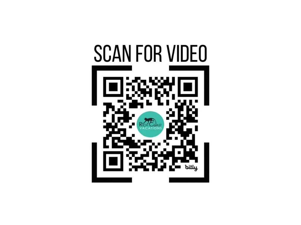 89aa2ea2 4971 4d0d 8552 d9e49e5a1895.jpg