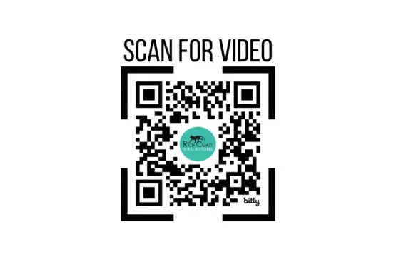 89aa2ea2 4971 4d0d 8552 d9e49e5a1895.jpg