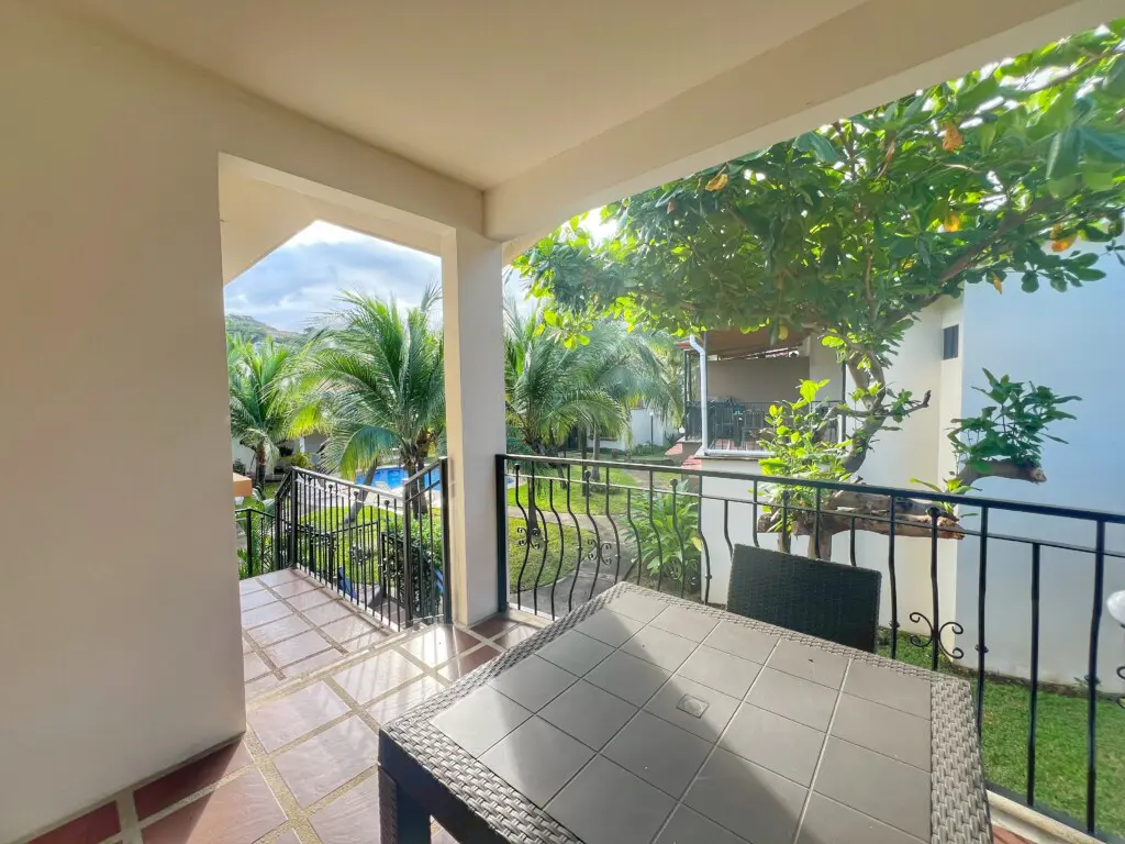 8b4165fd e96d 4058 8131 f50f2e405ea4.jpg