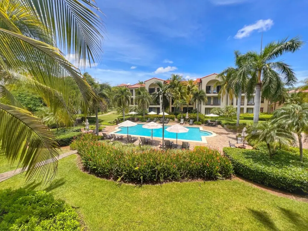 8d6df7f1 461d 47c0 976b 0987d60624f5.jpg