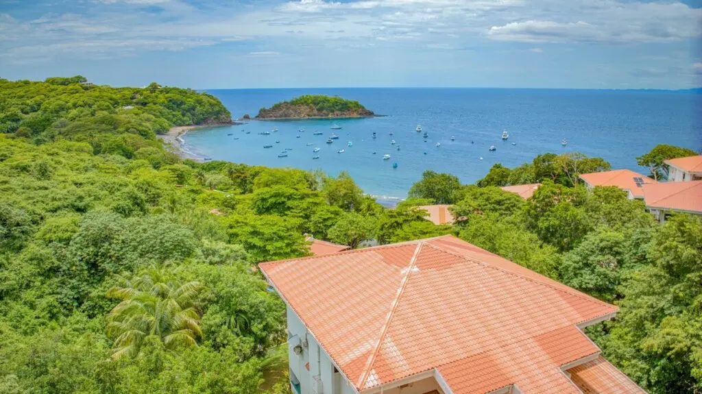 91959830 1649 4330 83fb 13e822c81999.jpg