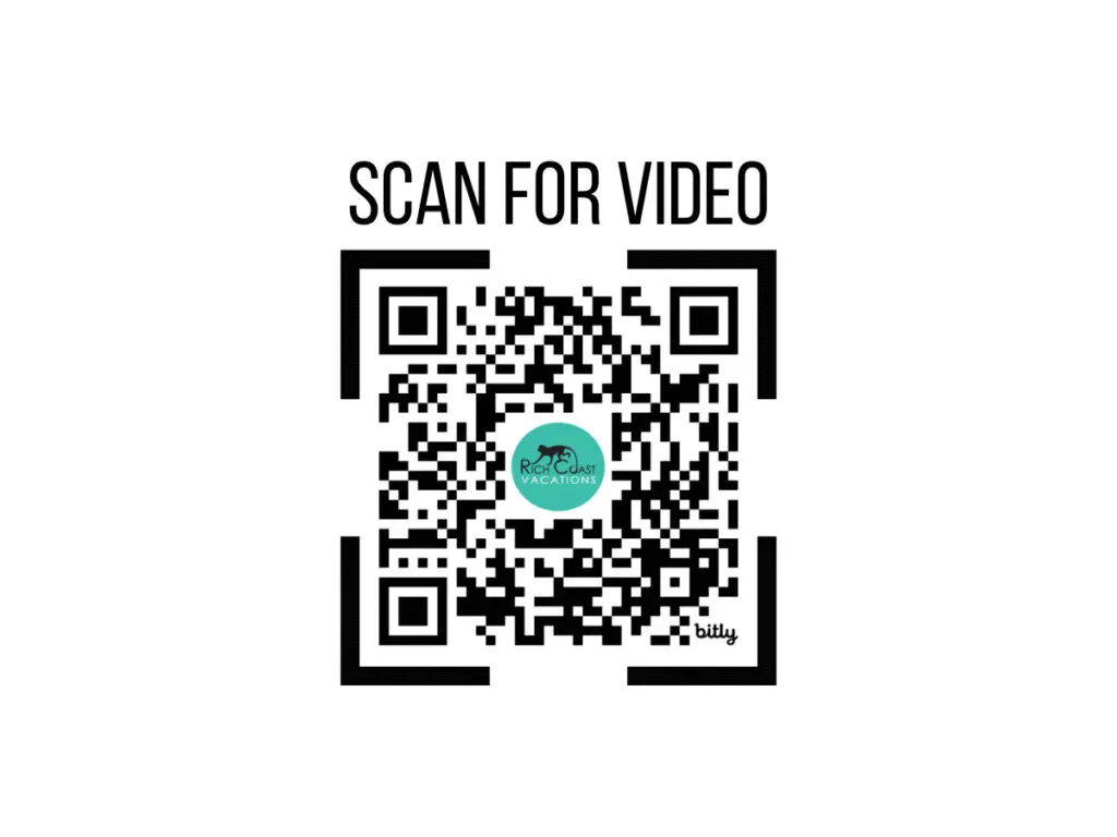 9196e741 cc1e 4759 9199 cfd383898caa.jpg