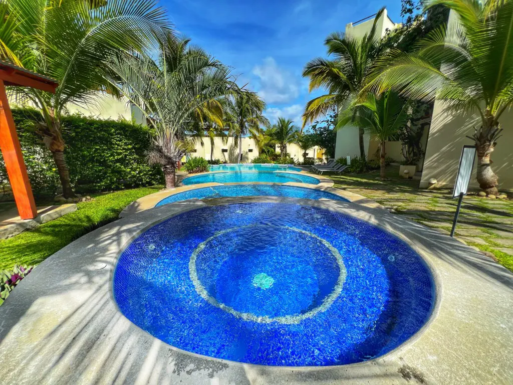 95dcc2ba fe7c 4aea 8226 c23fbae0c88b.jpg