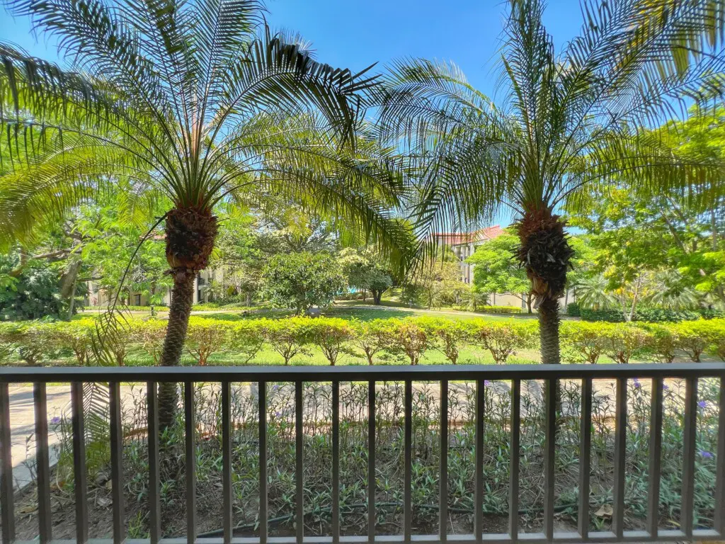 96ced0d5 3de3 43ee 8de9 776b7ff28042.jpg