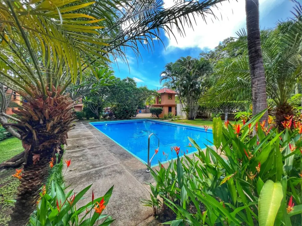 98059165 155b 444c a6ab 44e0ded4cb1d.jpg