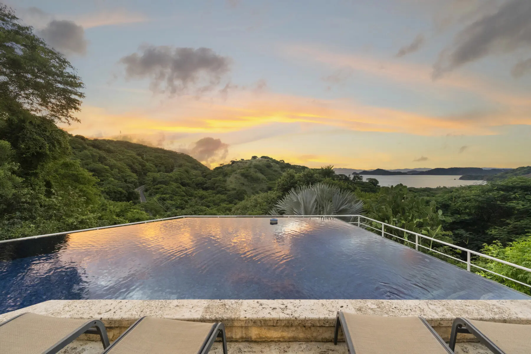 9ae75ff6 2fdd 4afe 8666 718ed2e9db99.jpg