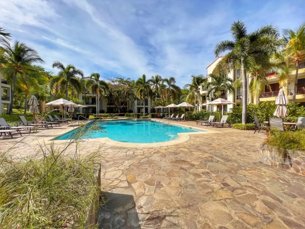 9cf6523b 212c 4101 a70f 69f89ce0d1b0.jpg