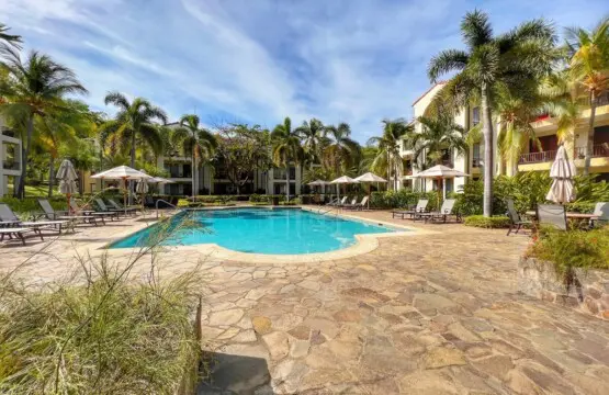 9cf6523b 212c 4101 a70f 69f89ce0d1b0.jpg