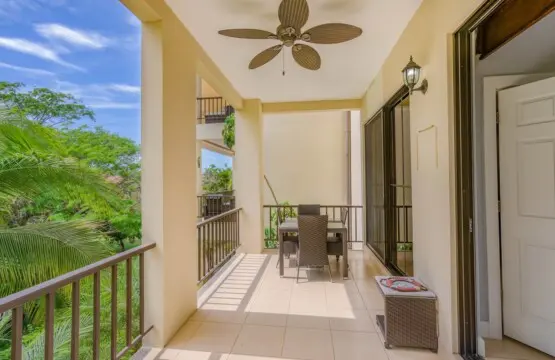 9d07ad06 7dd8 4915 ac43 e1dcc47c7406.jpg