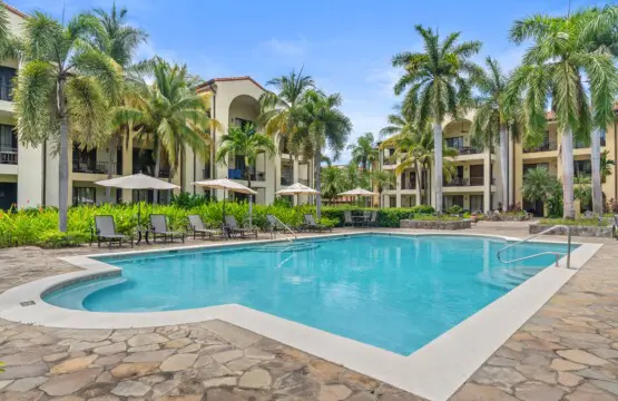 9e6a5c09 c26c 489e b34c bd0d29bfa091.jpg