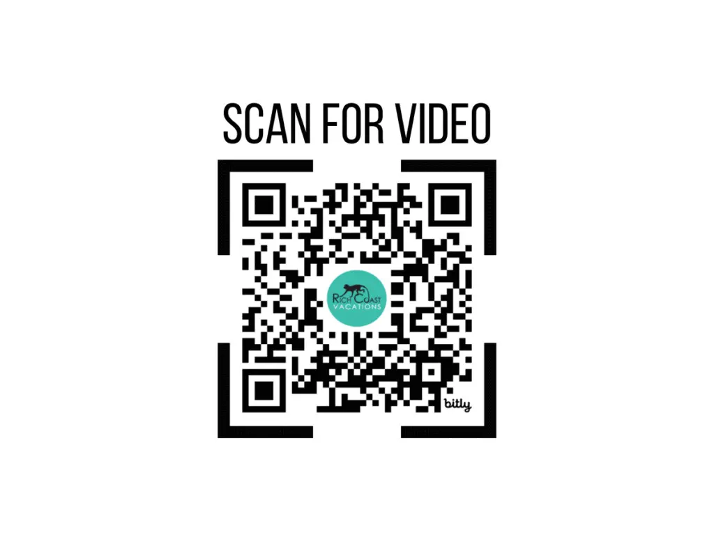 a6166909 fd07 4a42 a536 a6d24b639010.jpg