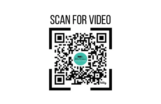 a6166909 fd07 4a42 a536 a6d24b639010.jpg