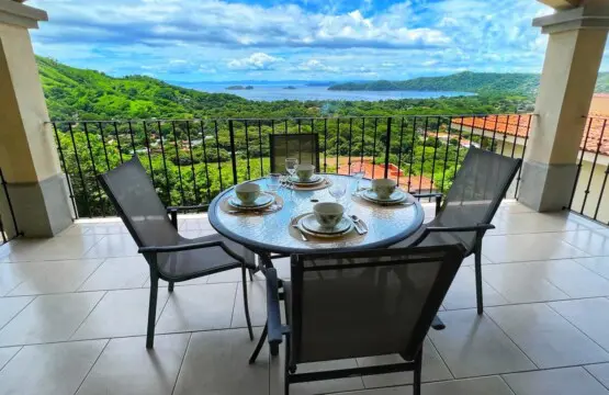 ad8bb1bb d90e 43ef a2ce 336713689316.jpg