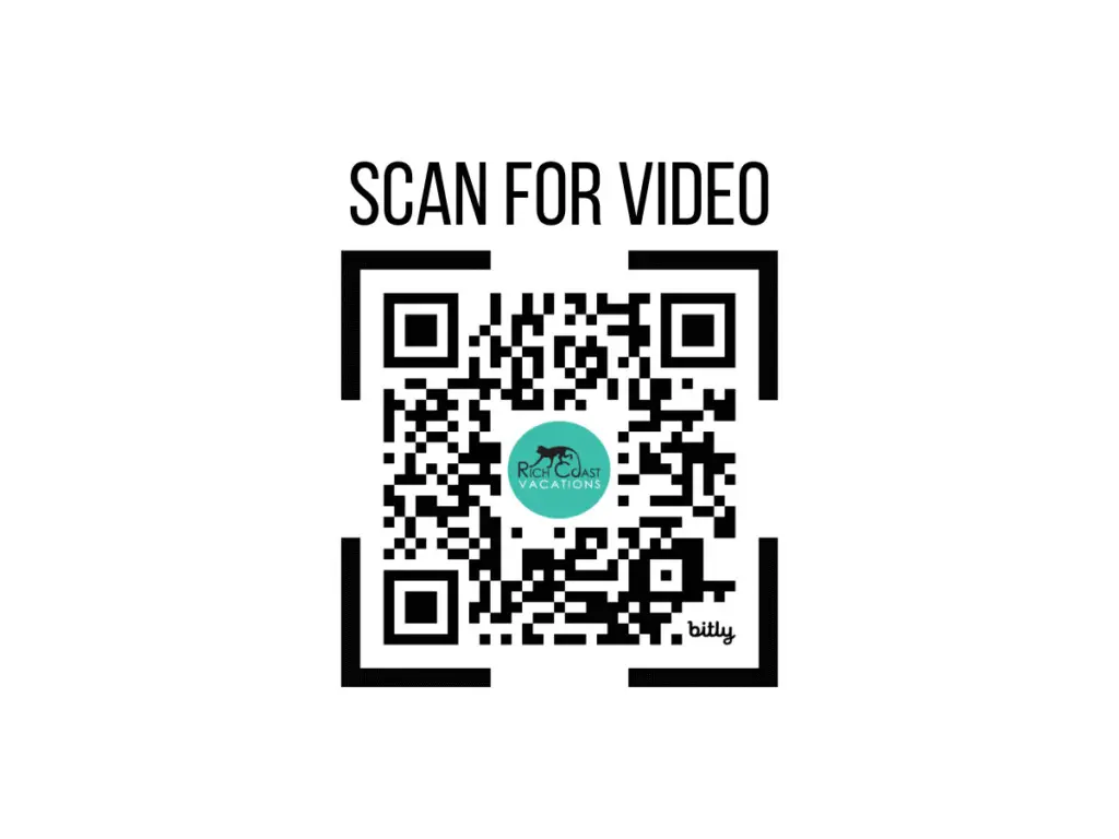 b1e5abff cb25 405c a863 7d5b33672cb0.jpg