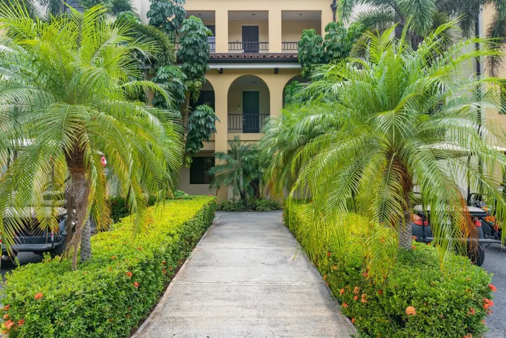 c8ecff02 df0e 4733 861a 75d0e5770b5b.jpg