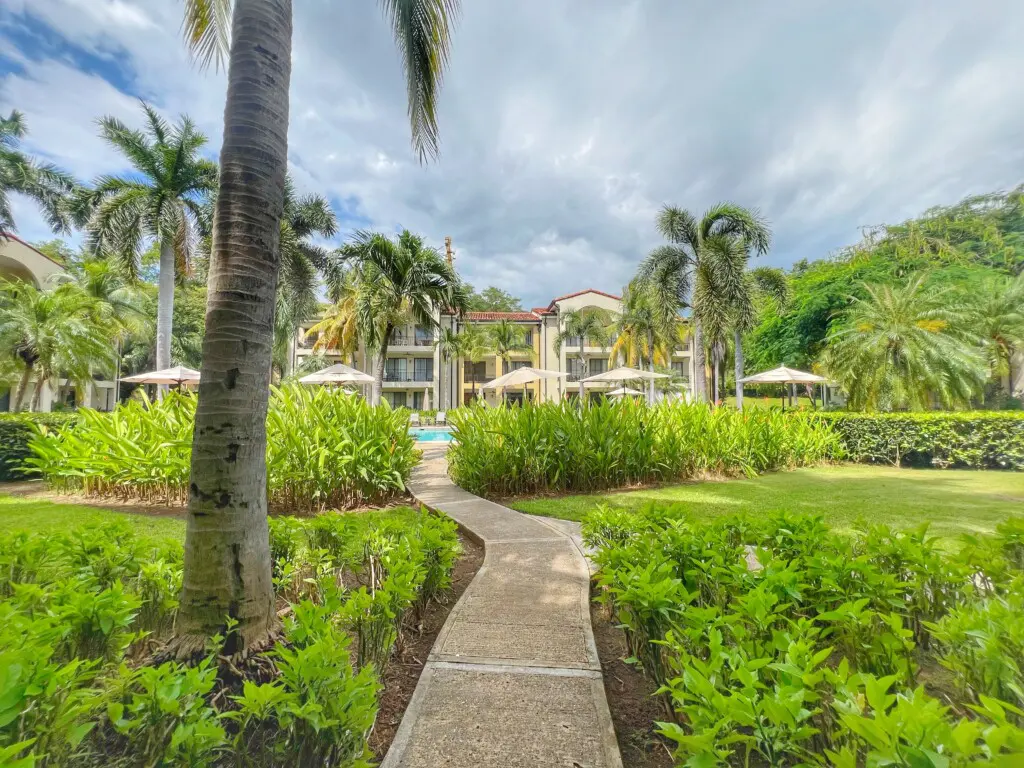 d1fd98f1 f41d 4896 9bf6 d5223df402ca.jpg