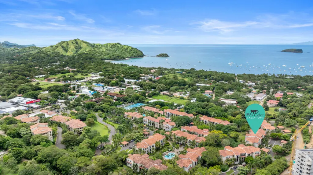 d49b8fa9 a205 42d4 9ef1 d3c4b4c60d7f.jpg