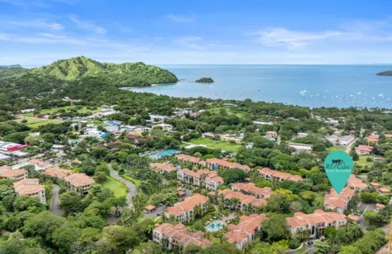 d991a162 9e85 4d91 9f22 fa3b713d620d.jpg