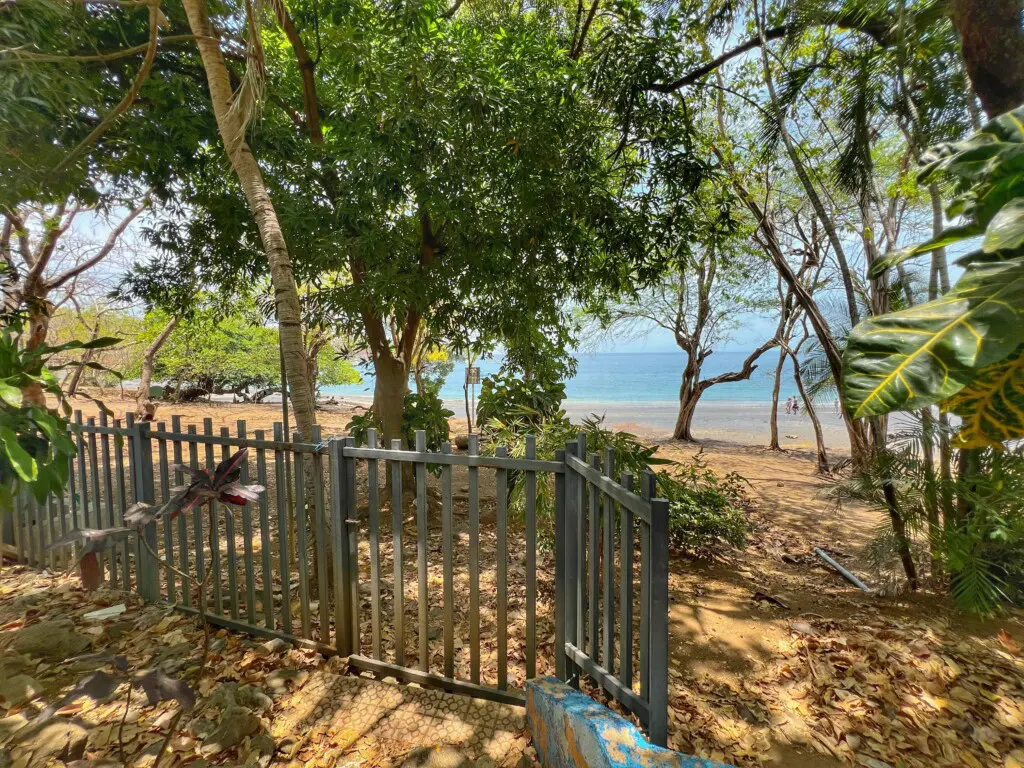 da9f12c2 3e02 4728 9cbe cbc714e14a84.jpg