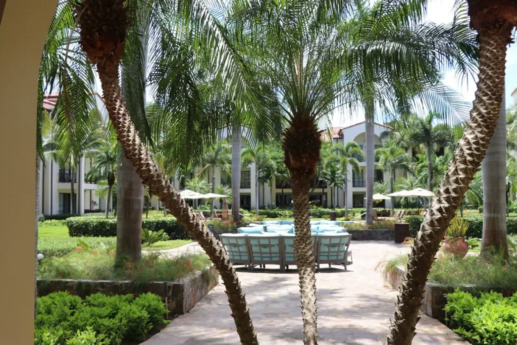 e1735eca 59e4 4d81 a75f f46bb40ec1e3.jpg