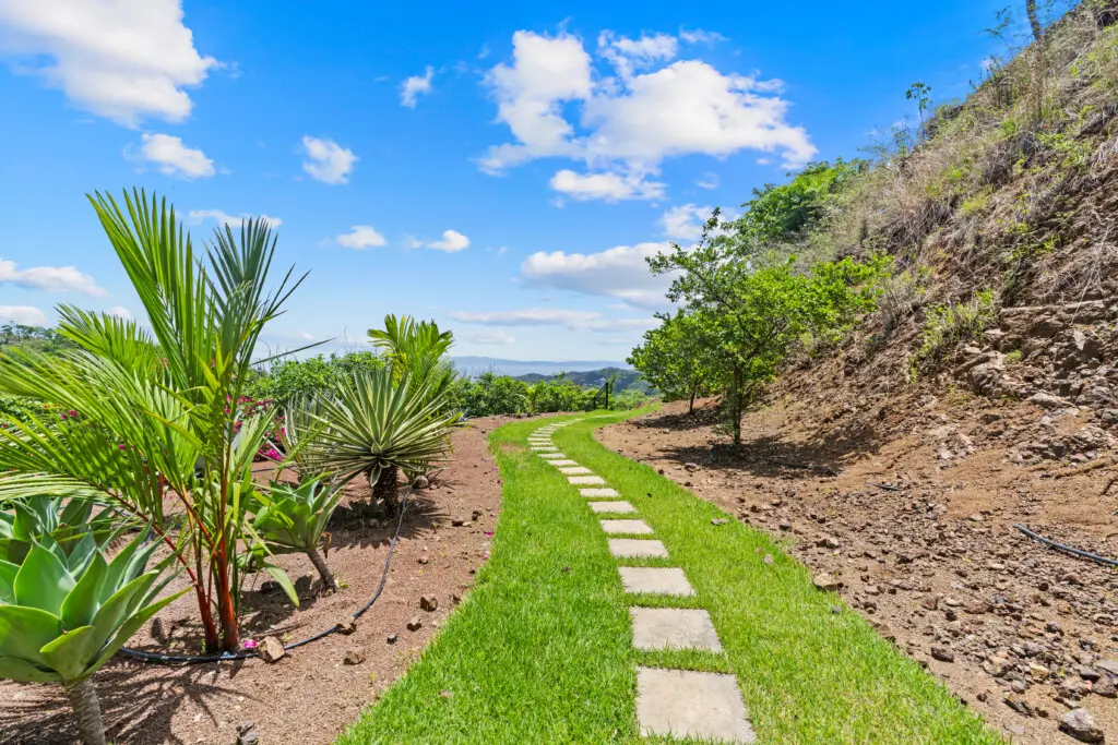 e56f5d33 0b7f 4362 995c ba3baa2a077c.jpg