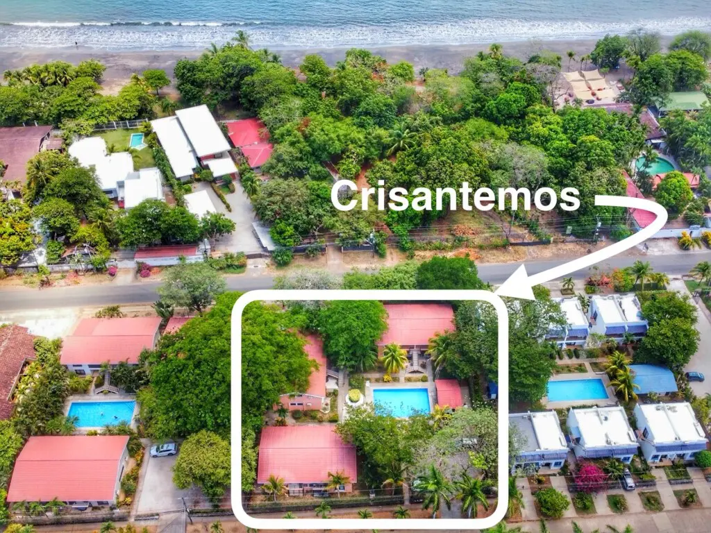 ef19db4e d839 45ac b8e0 74b278a9d4cc.jpg