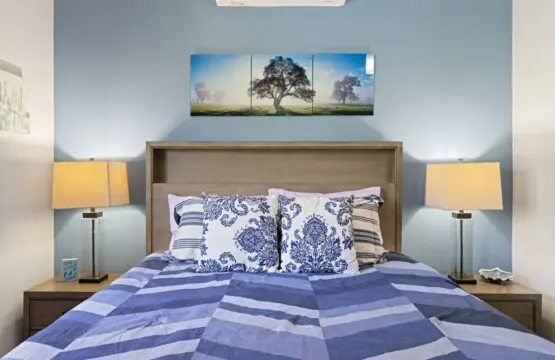 6499b363 5f6d 4195 83b6 91bf47bdc913.jpg