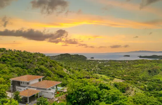 8f921f46 3f39 4327 b80e d9eef78f4982.jpg